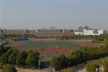 Playing Field